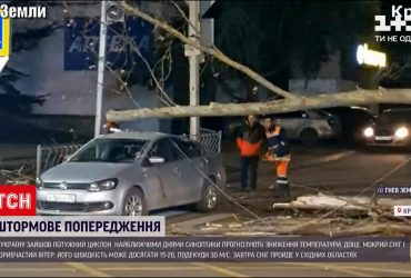 Негода в Україні: через сильний вітер майже 200 населених пунктів у 8 областях залишились без світла