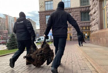 В Киеве митингующие привезли под мэрию перепуганных овец в маршрутке: их изъяли правоохранители (видео)
