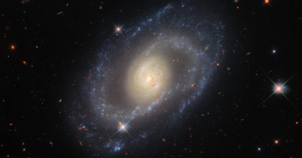620_324_1636379990-3477.jpg?1