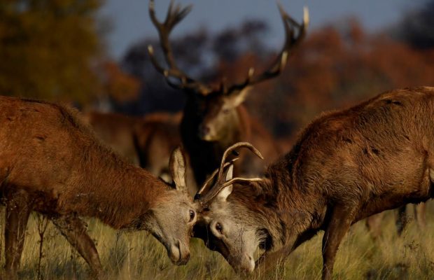 27 листопада 2021 - яке сьогодні свято, прикмети та іменинники, що сьогодні не можна робити