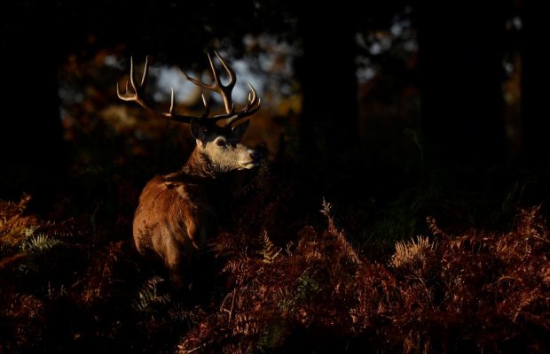 22 ноября 2021 - какой сегодня праздник, приметы и именинники, что сегодня нельзя делать
