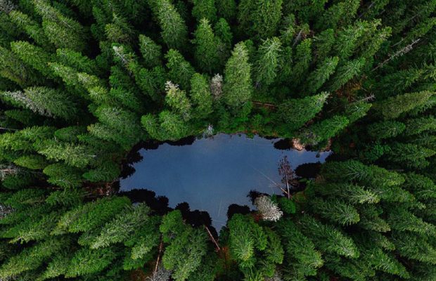"Википедия" показала лучшие фотографии украинской природы 2021 года (фото)