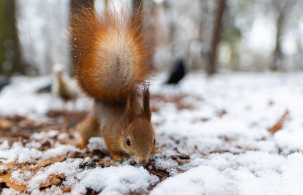 3 грудня 2021 - яке сьогодні свято, прикмети та іменинники, що сьогодні не можна робити
