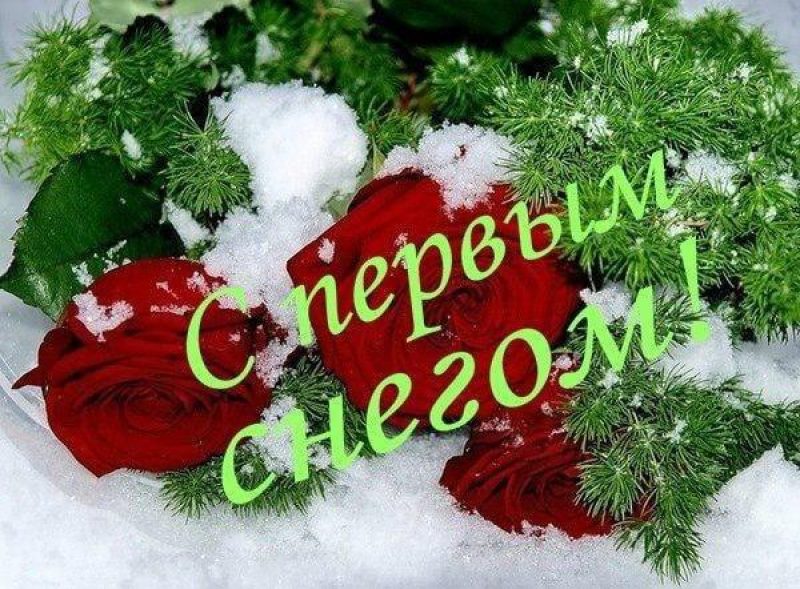 Первый снег❄❄