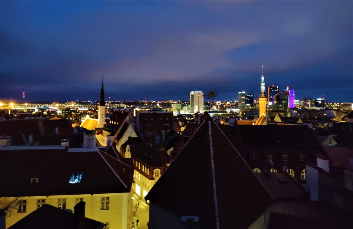 Панорама ночного Таллинна / фото Марина Григоренко
