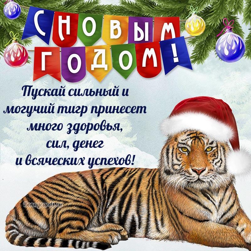 Поздравления с Новым годом в картинках  / фото bonnycards.ru