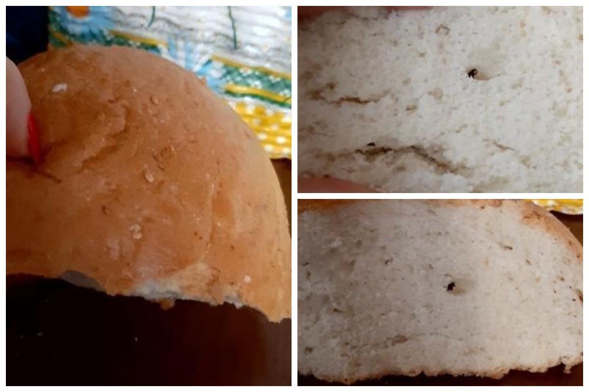 Жінка знайшла в хлібі екскременти / колаж з фото - спільнота "Мелітополь. Відгуки про заклади"