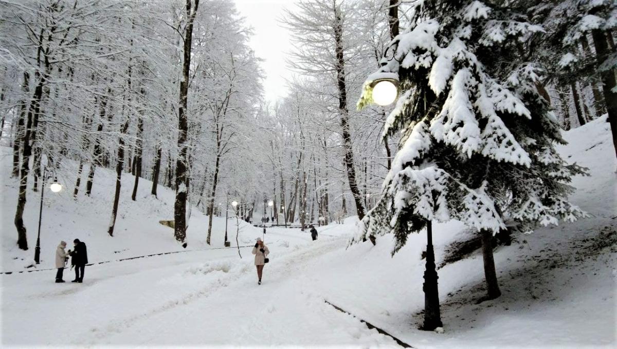 26 января  в Украине будет снежить / фото Марина Григоренко
