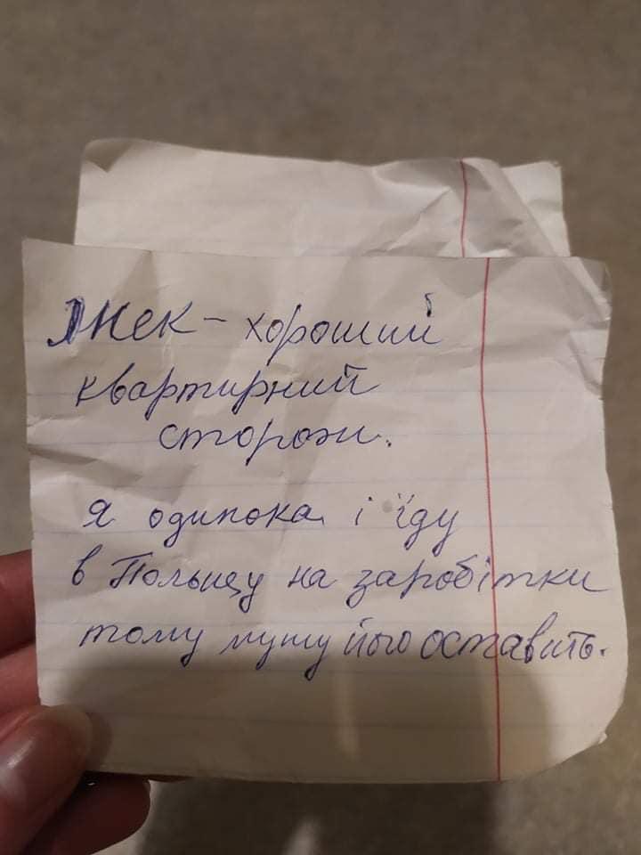 У столичному парку жінка покинула собаку та сповістила запискою, що поїхала до Польщі  / фото facebook.com/maryna.liapina
