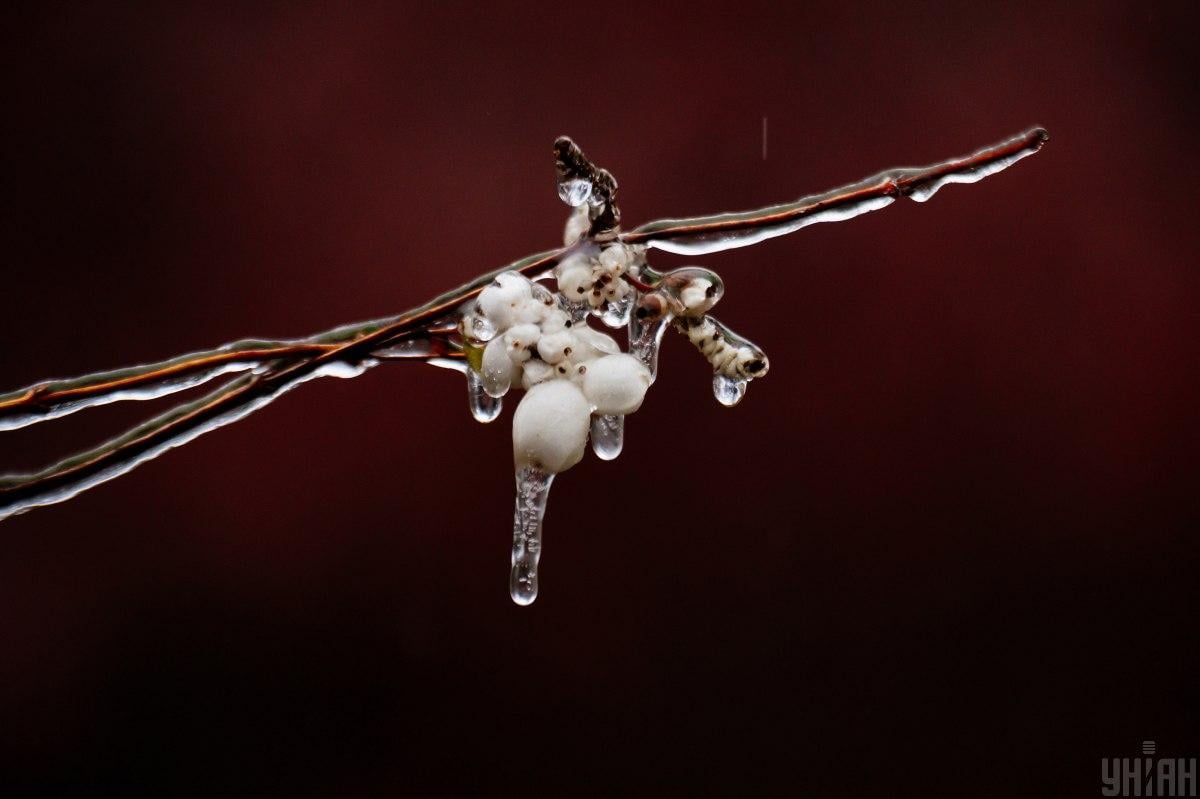 Негода в Одесі: синоптики оголосили жовту небезпеку