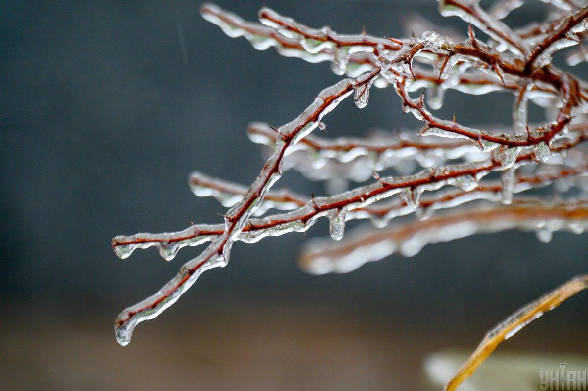 У Харкові очікуєтьсся ожеледь / фото УНІАН, Андрій Горб У Харкові очікуєтьсся ожеледь / фото УНІАН, Андрій Горб