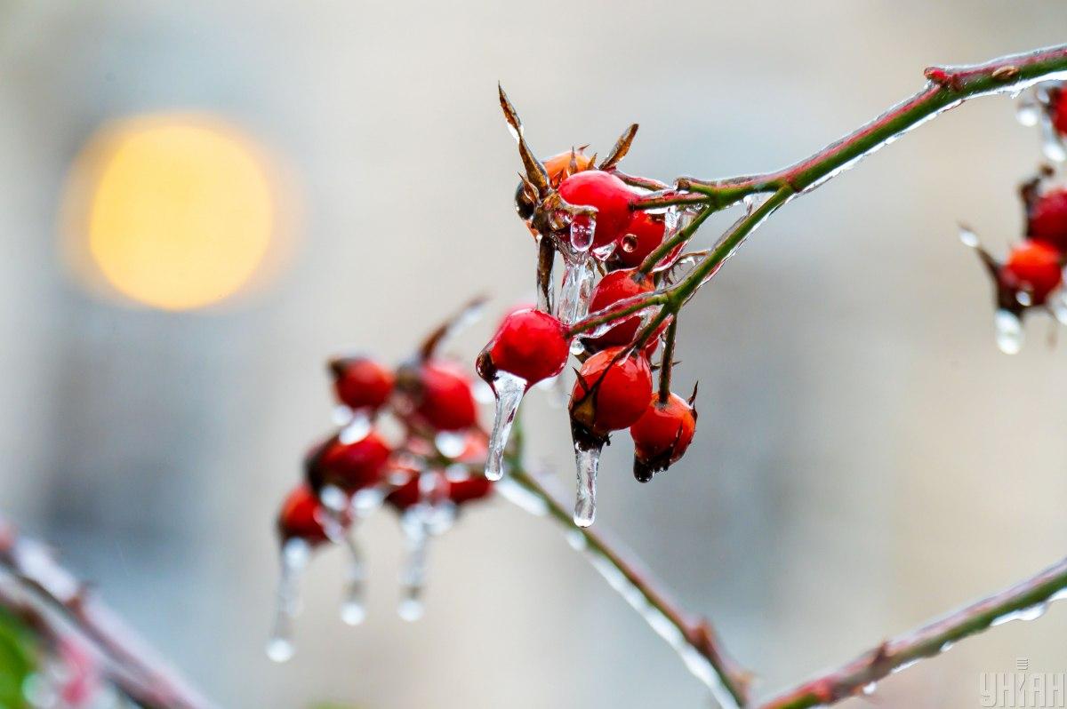 В Харькове на сегодня введен I уровень опасности (инфографика)