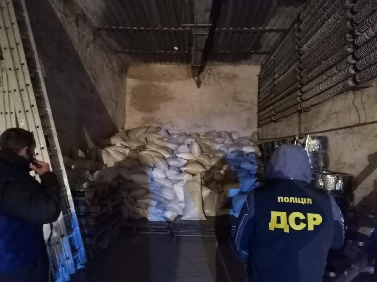 Злоумышленники замаскировали выращивание конопли под легальную производственную деятельность / фото Сумской областной прокуратуры