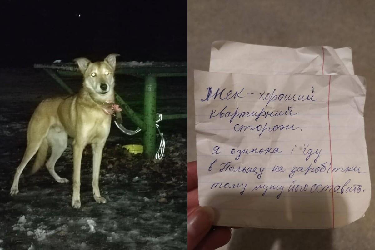Жінка кинула собаку і сповістила запискою, що поїхала в Польщу / колаж з фото - facebook.com/maryna.liapina Жінка кинула собаку і сповістила запискою, що поїхала в Польщу / колаж з фото - facebook.com/maryna.liapina