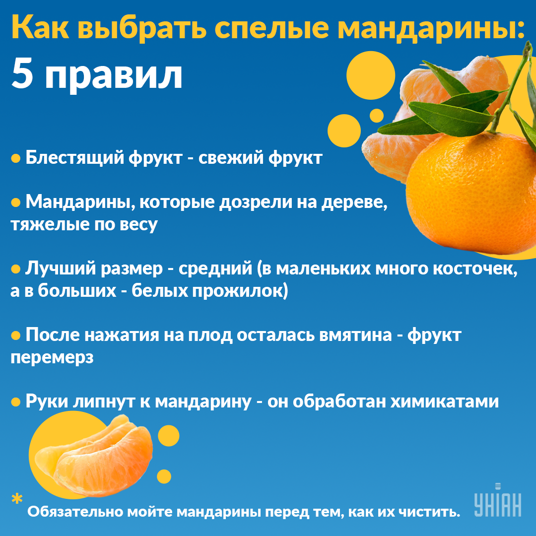 Как выбрать сочные мандарины / Инфографика УНИАН