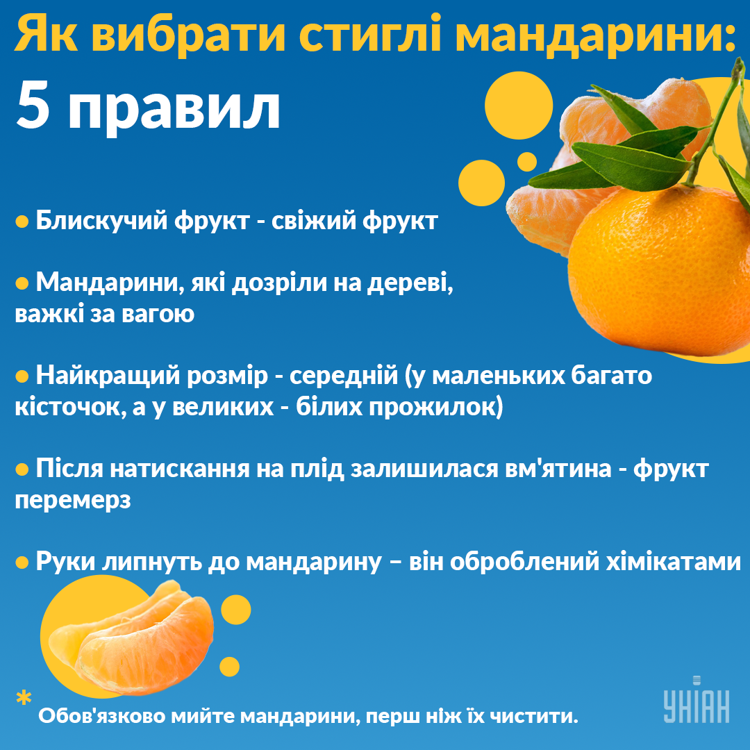 Как вибрати свіжі мандарини / Інфографіка УНІАН