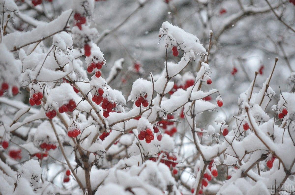 Сьогодні в деяких областях України буде сніг / фото УНІАН, Валерій Шмаков