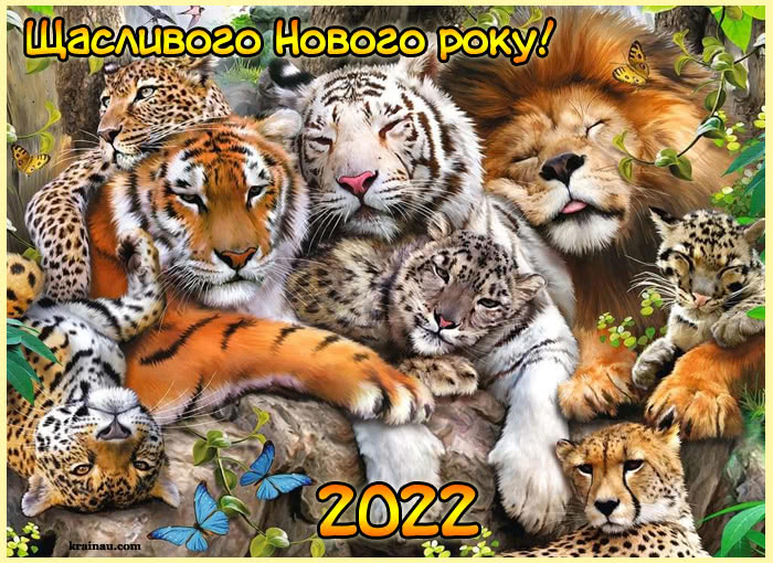З Новим роком 2022 вітання українскьою / фото krainau.com