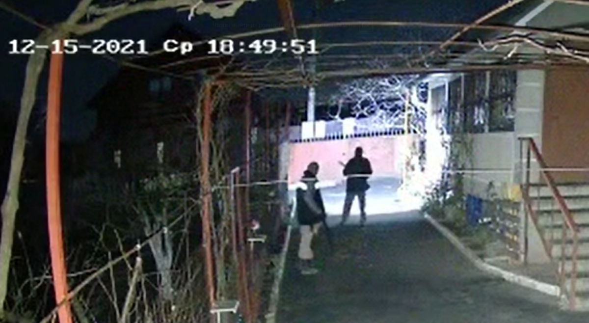 Под Одессой мужчины ворвались в чужой двор и убили собак / Скриншот