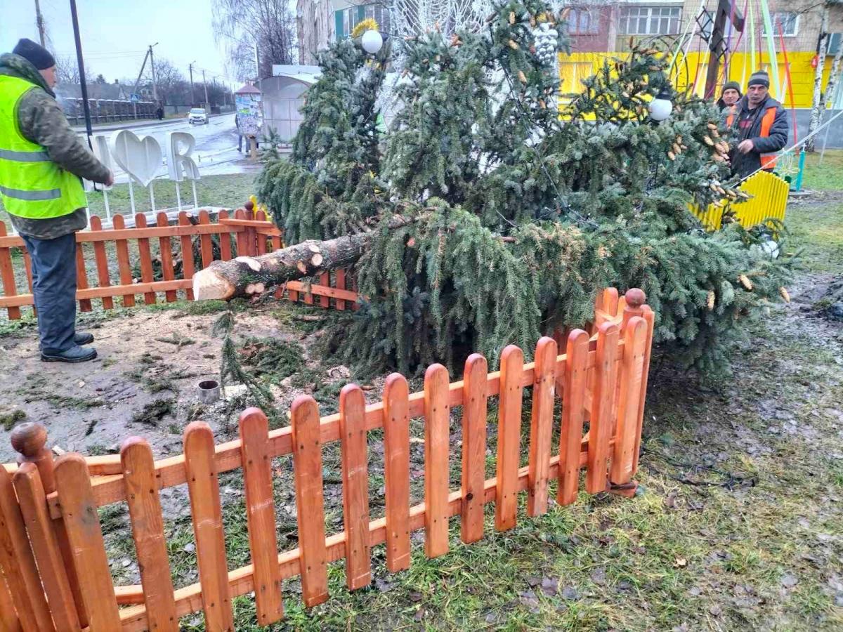 Новогодняя елка упала в поселке Квасилов возле Ривного / фото facebook.com/trestzelenogogospodarstva Новогодняя елка упала в поселке Квасилов возле Ривного / фото facebook.com/trestzelenogogospodarstva
