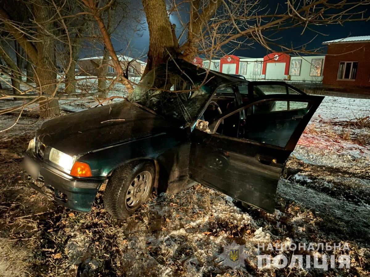 Автомобиль врезался в дерево / фото НПУ