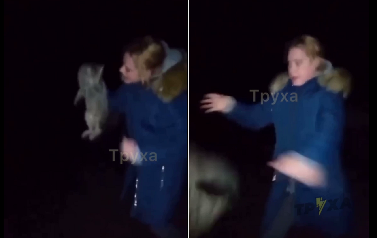 The video shows how a girl in a blue jacket kicks the cat with all her might / screenshot
