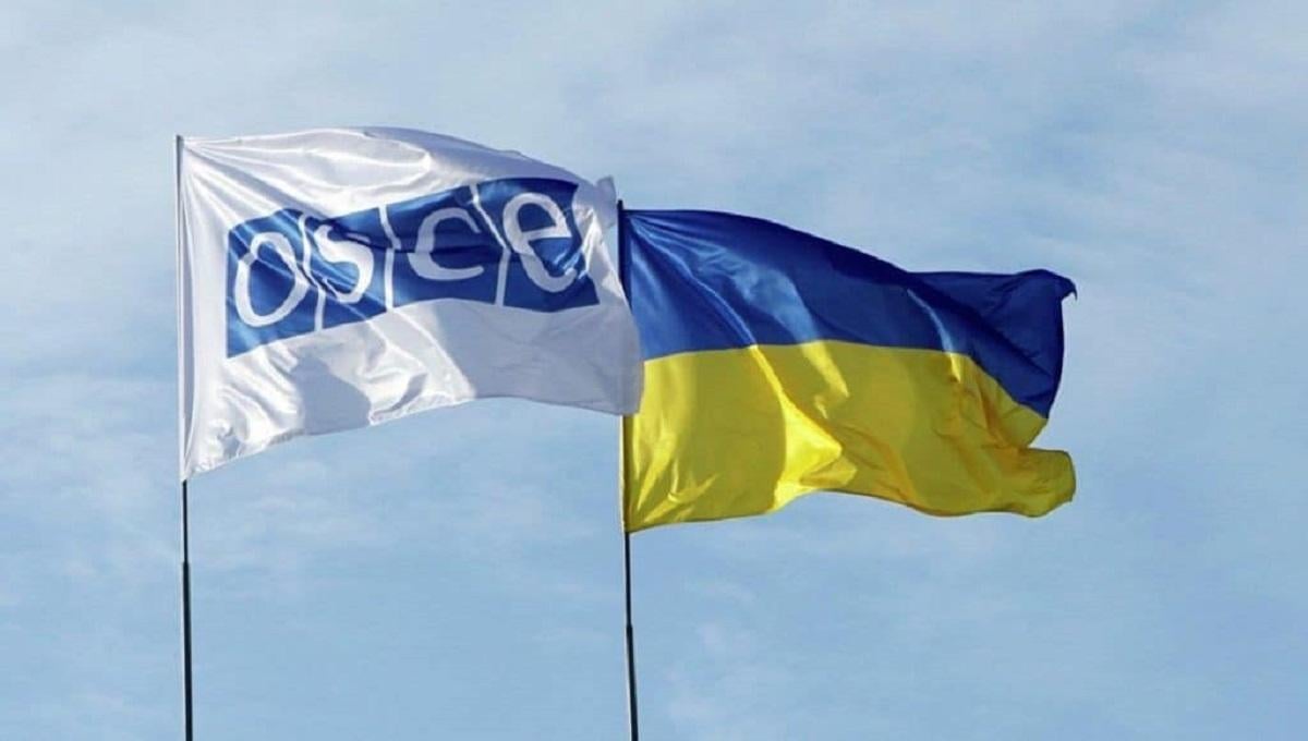 Очільниця ОБСЄ проти виключення РФ з організації \ фото facebook.com/UkrdelegationTCG Очільниця ОБСЄ проти виключення РФ з організації \ фото facebook.com/UkrdelegationTCG