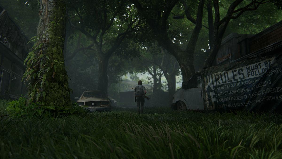 В The Last of Us Part II обнаружили возможность, о которой никто не знал / фото Naughty Dog