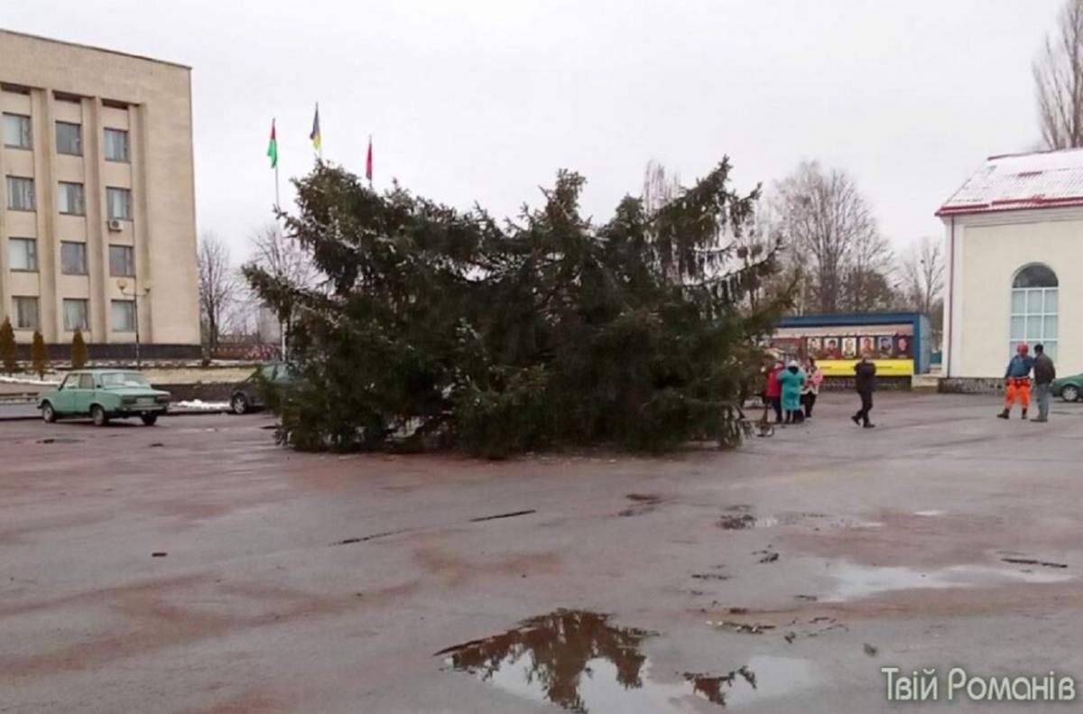 Под Житомиром главная елка порвала интернет-провода и упала во время  установки (фото, видео) — УНИАН