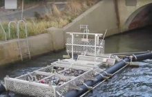 В Україні встановили перший річковий сміттєвий капкан: що це та як працює (відео)