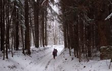 У Карпатах другу добу шукають туриста, який загубився під час катання на снігоходах (фото)