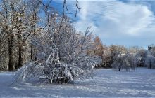 18 декабря: народный праздник, традиции и запреты дня