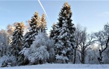 15 декабря 2021 - какой сегодня праздник, приметы и именинники, что сегодня нельзя делать