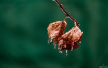 6 січня 2022 - яке сьогодні свято, прикмети та іменинники, що сьогодні не можна робити