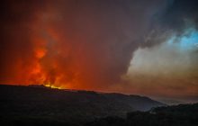 В Австралії спалахнули нові лісові пожежі: людей терміново евакуюють (фото, відео)