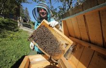 Фінал "Мандруй Україною з Дмитром Комаровим": мертві бджоли на сніданок та екстремальний релакс (фото, відео)