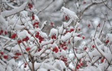 21 февраля: народные приметы и что нельзя делать