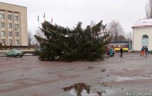 Под Житомиром главная елка порвала интернет-провода и упала во время установки (фото, видео)