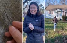 Блогерка обміняла звичайну шпильку для волосся на будинок: як їй це вдалося (фото)