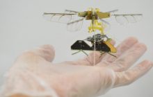 Toyota создала дрон размером с насекомое – аппарат летает без встроенного аккумулятора (фото)