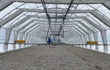 В Украине высадят 300 миллионов деревьев: Болоховец анонсировал планы на 2022 год