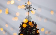 В Киеве на Софийской площади зажгли главную елку страны (фоторепортаж, видео)