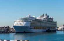 На крупнейшем в мире круизном судне заразились коронавирусом почти полсотни пассажиров