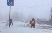 В РФ коммунальщики вышли косить траву в -50°C (фото)