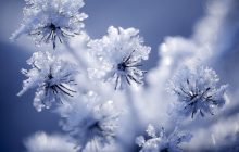 Морозы крепчают: сегодня температура в Украине упадет почти до -15° (карта)