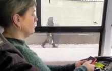 Водитель троллейбуса удивила сеть необычным занятием во время езды и попала на видео