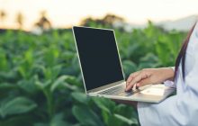 6 фактов о никотине, которые вы могли не знать