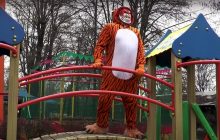 Директор Одесского зоопарка нарядился тигром и схватил женщину за ягодицы: курьезное видео