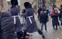 В Лондоне королевская гвардия промаршировала по ребенку (видео)