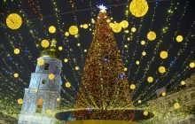 Праздник к нам приходит: названы самые дорогие елки Украины